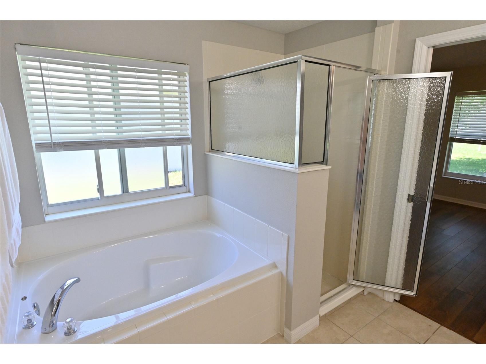 27326 Orchid Glade Street Leesburg FL 34748 O6405542 image14
