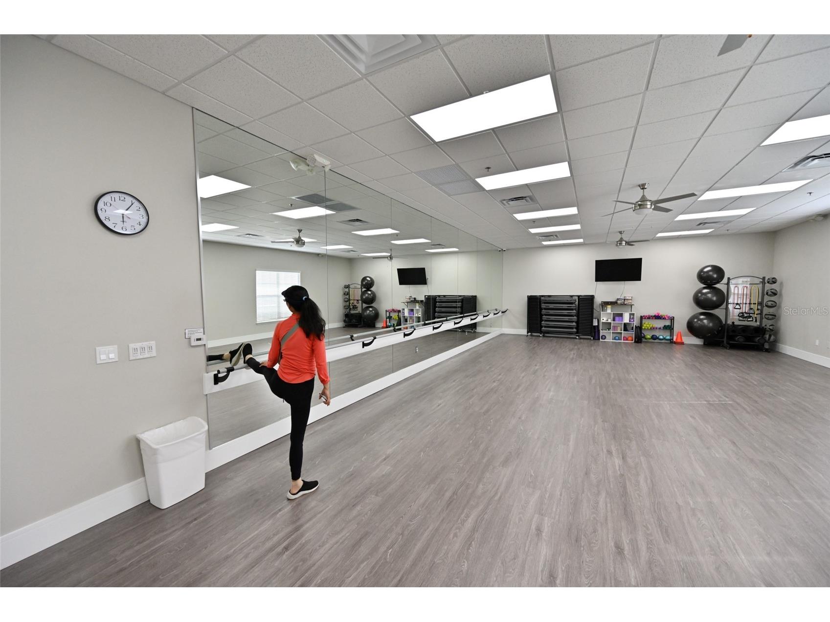 27326 Orchid Glade Street Leesburg FL 34748 O6405542 image37
