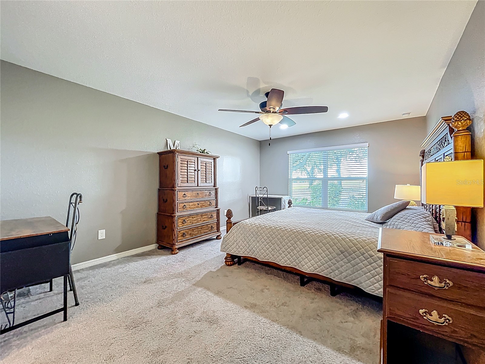 27327 Roanoke Drive Leesburg FL 34748 O6397548 image17