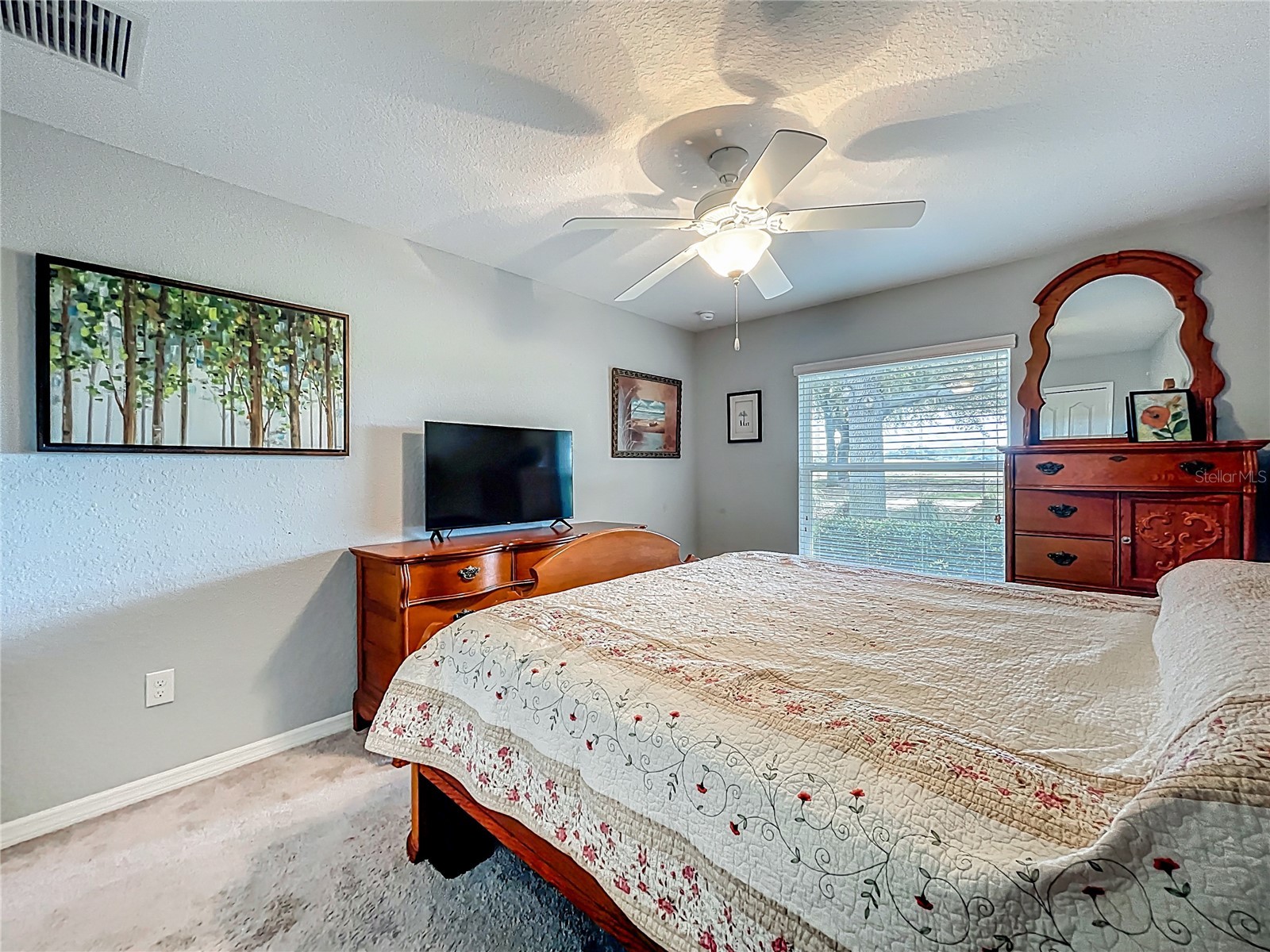 27327 Roanoke Drive Leesburg FL 34748 O6397548 image28