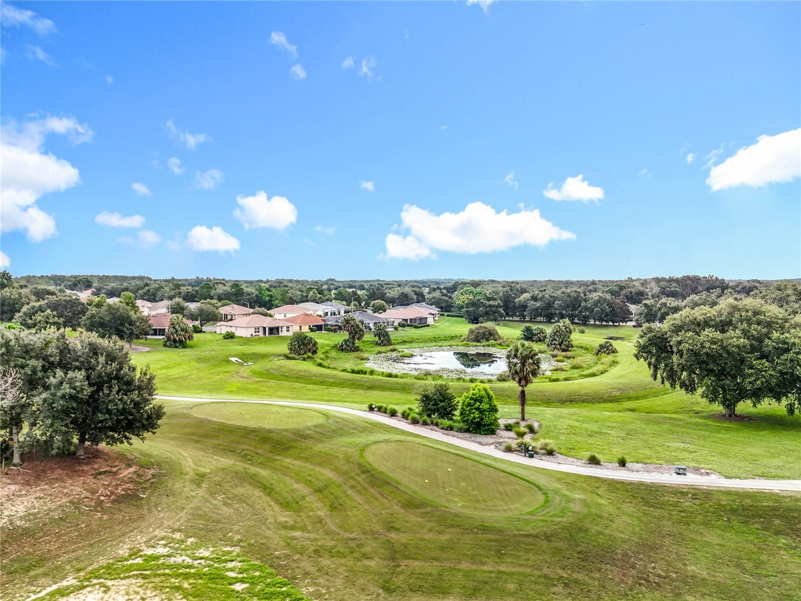 27327 Roanoke Drive Leesburg FL 34748 O6397548 image42