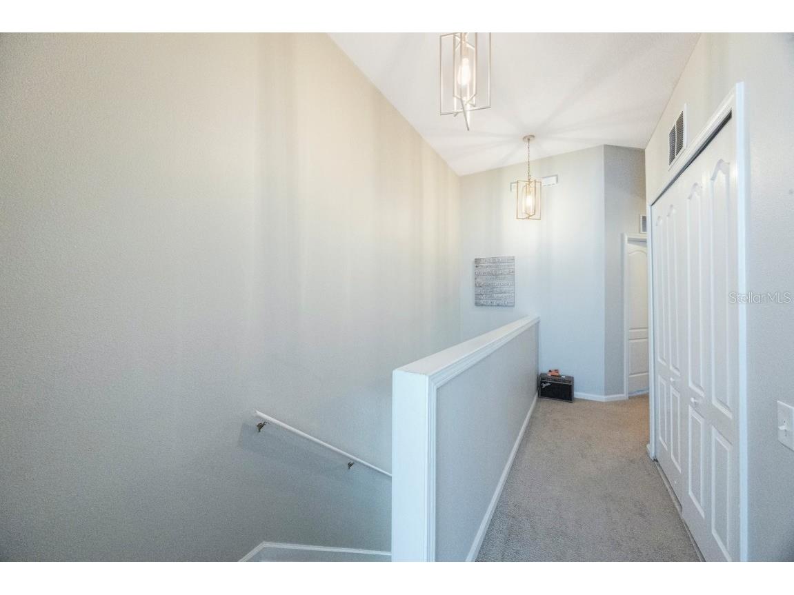 2733 Conch Hollow Drive Brandon FL 33511 TB8392326 image15