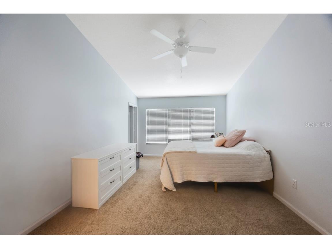 2733 Conch Hollow Drive Brandon FL 33511 TB8392326 image16