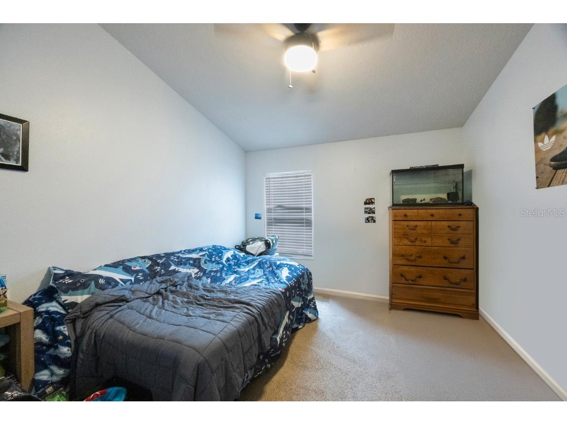 2733 Conch Hollow Drive Brandon FL 33511 TB8392326 image23