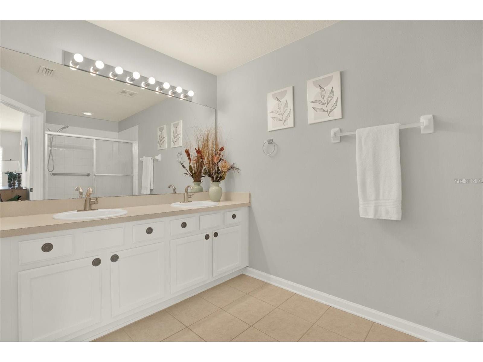 2733 Conch Hollow Drive Brandon FL 33511 TB8487973 image11