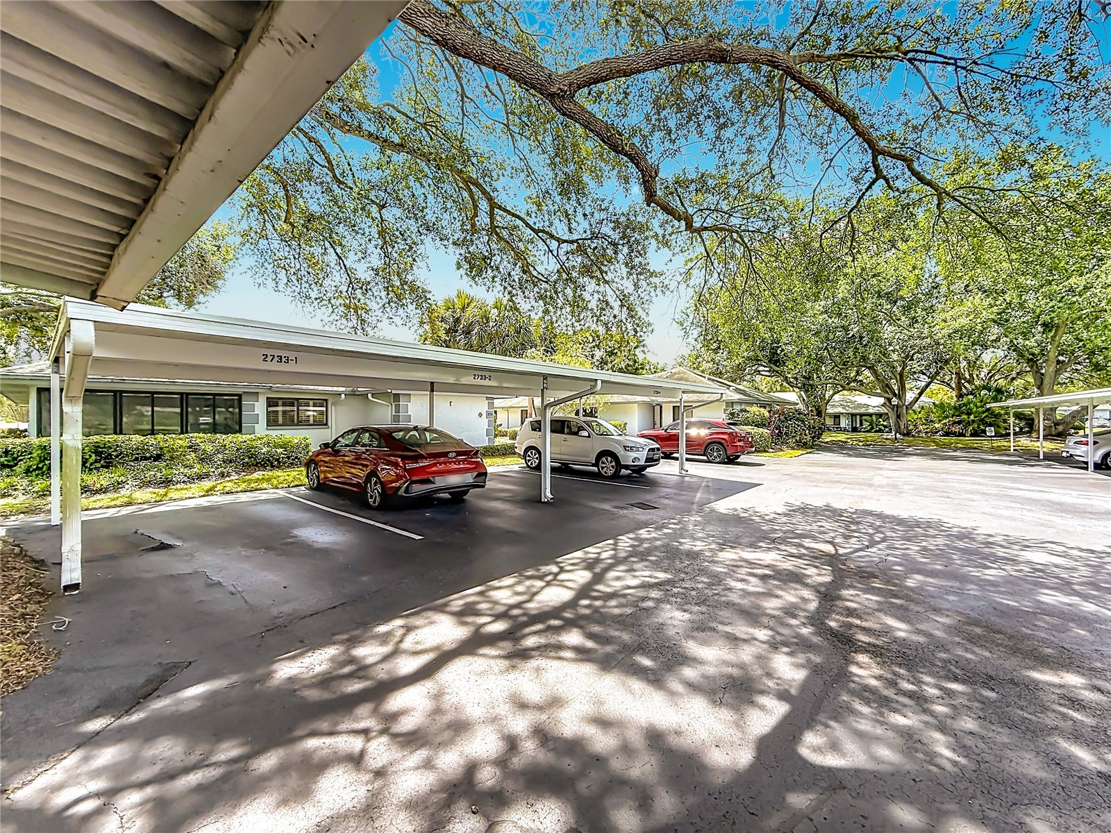 2733 Countryside Boulevard #105 Clearwater FL 33761 TB8505062 image35