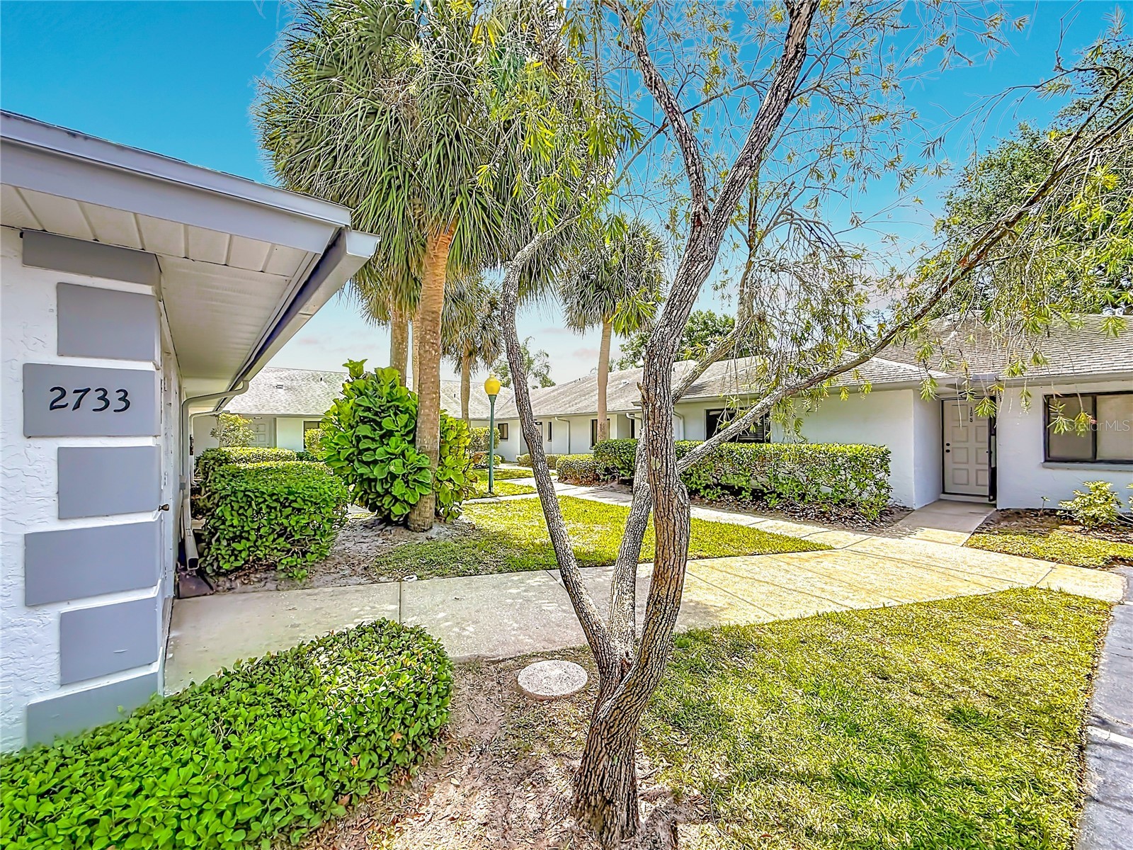 2733 Countryside Boulevard #105 Clearwater FL 33761 TB8505062 image39