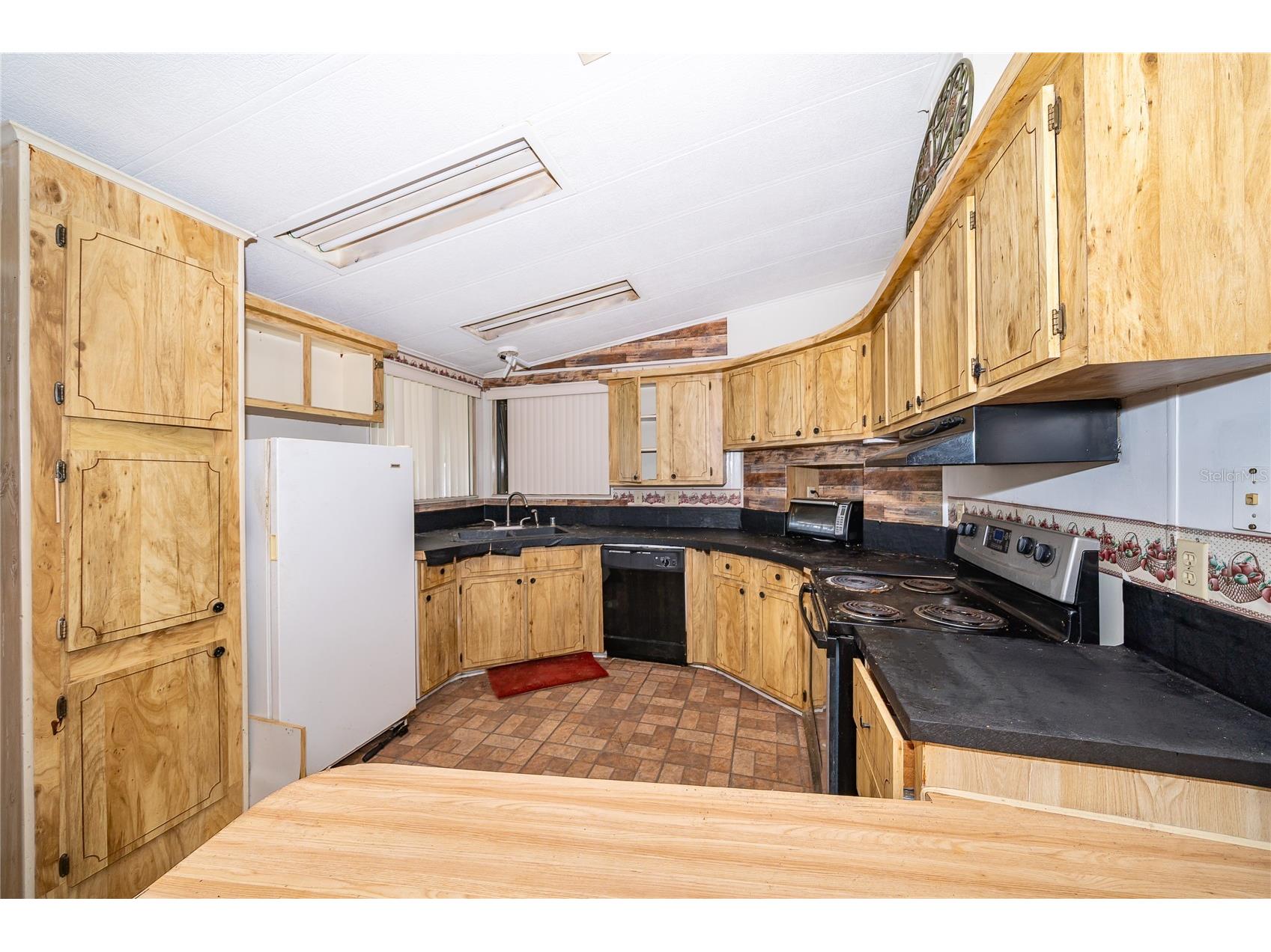 2733 Cranmoor Drive Kissimmee FL 34758 O6374880 image19