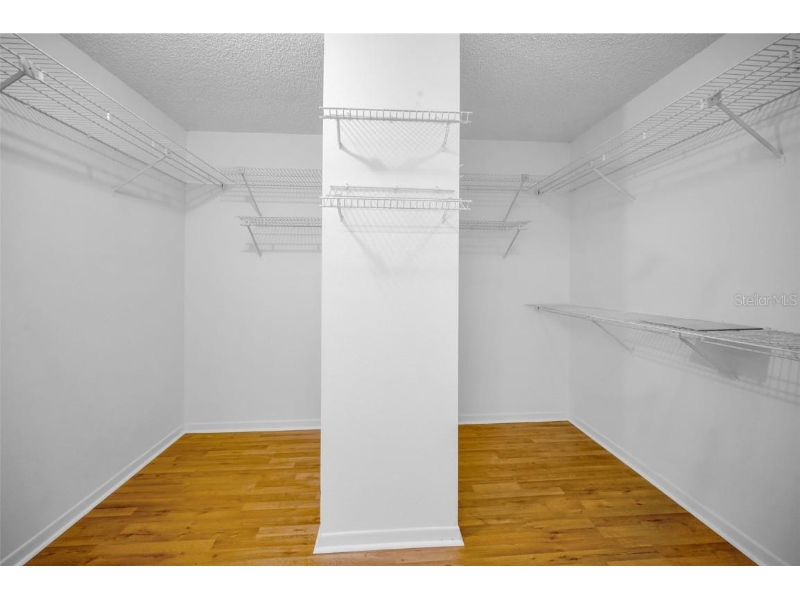 2733 Nicole Circle Palm Harbor FL 34684 TB8452588 image23