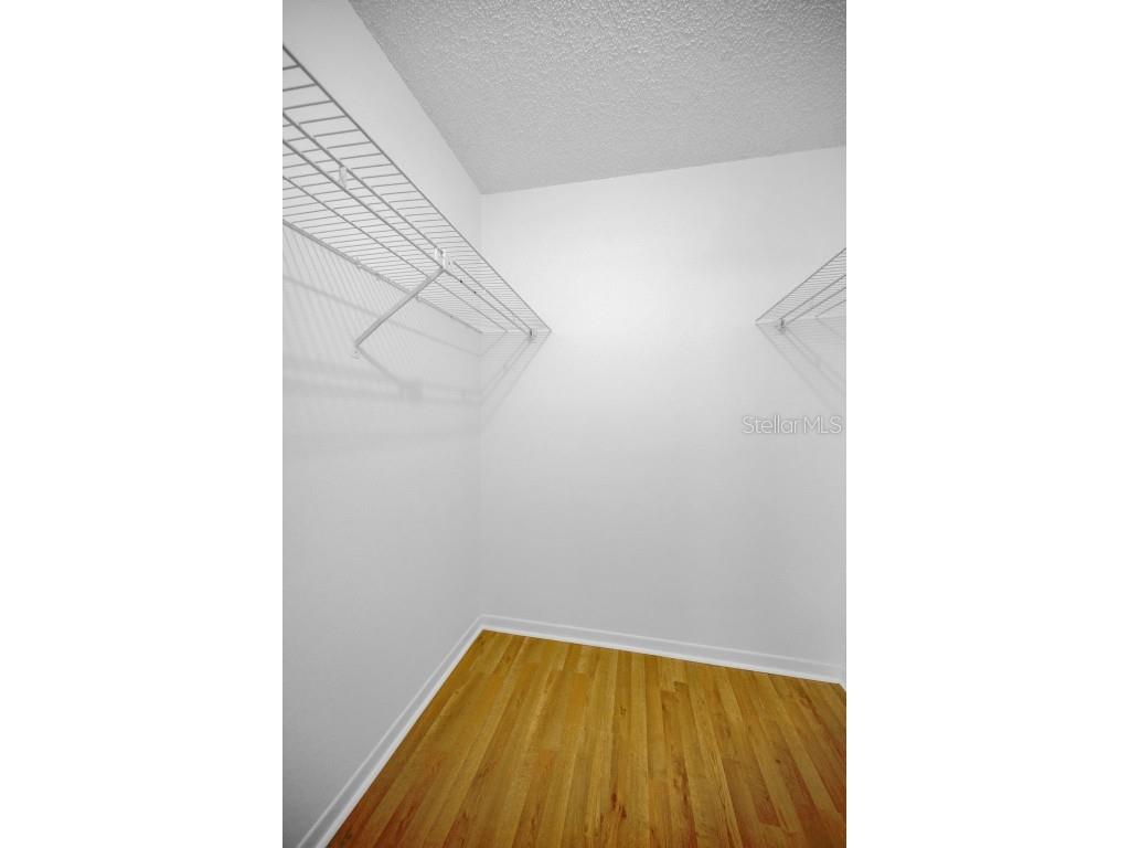 2733 Nicole Circle Palm Harbor FL 34684 TB8452588 image26