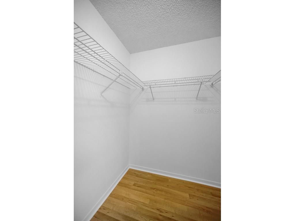 2733 Nicole Circle Palm Harbor FL 34684 TB8452588 image31