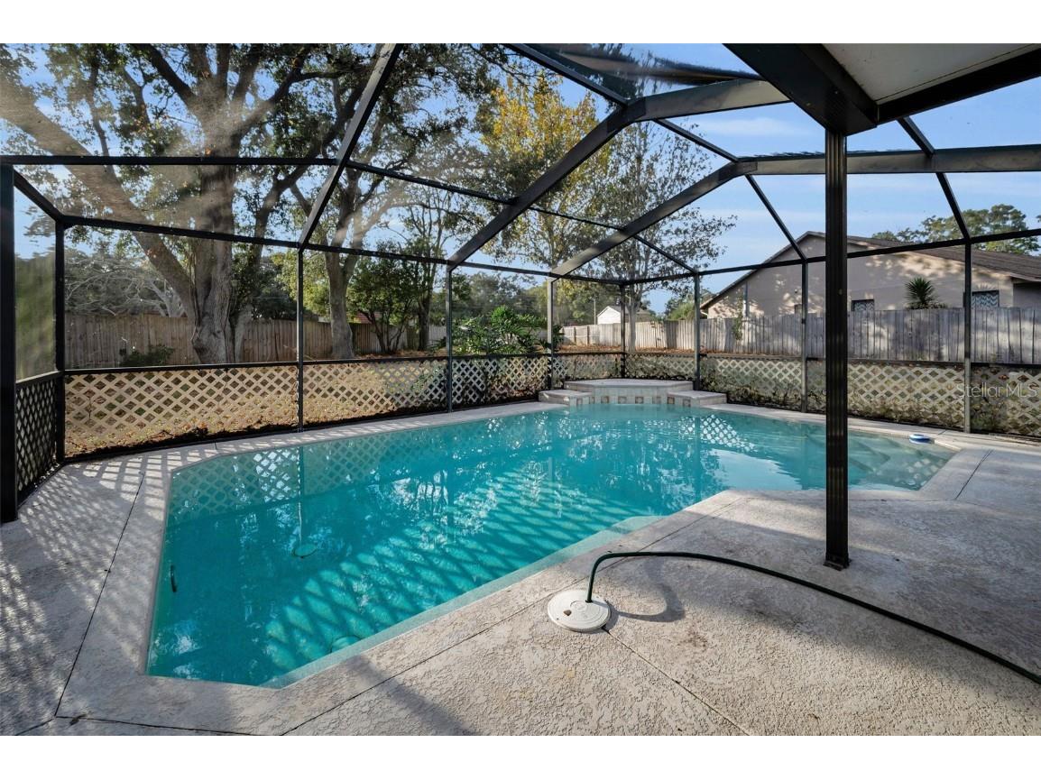 2733 Nicole Circle Palm Harbor FL 34684 TB8452588 image34