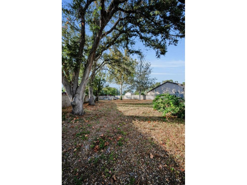 2733 Nicole Circle Palm Harbor FL 34684 TB8452588 image39