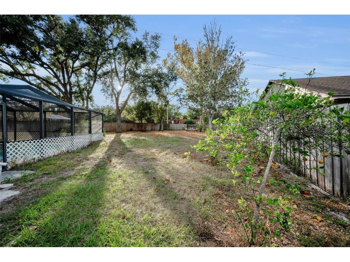 2733 Nicole Circle Palm Harbor FL 34684 TB8452588 image41