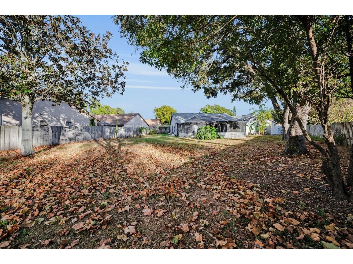 2733 Nicole Circle Palm Harbor FL 34684 TB8452588 image44