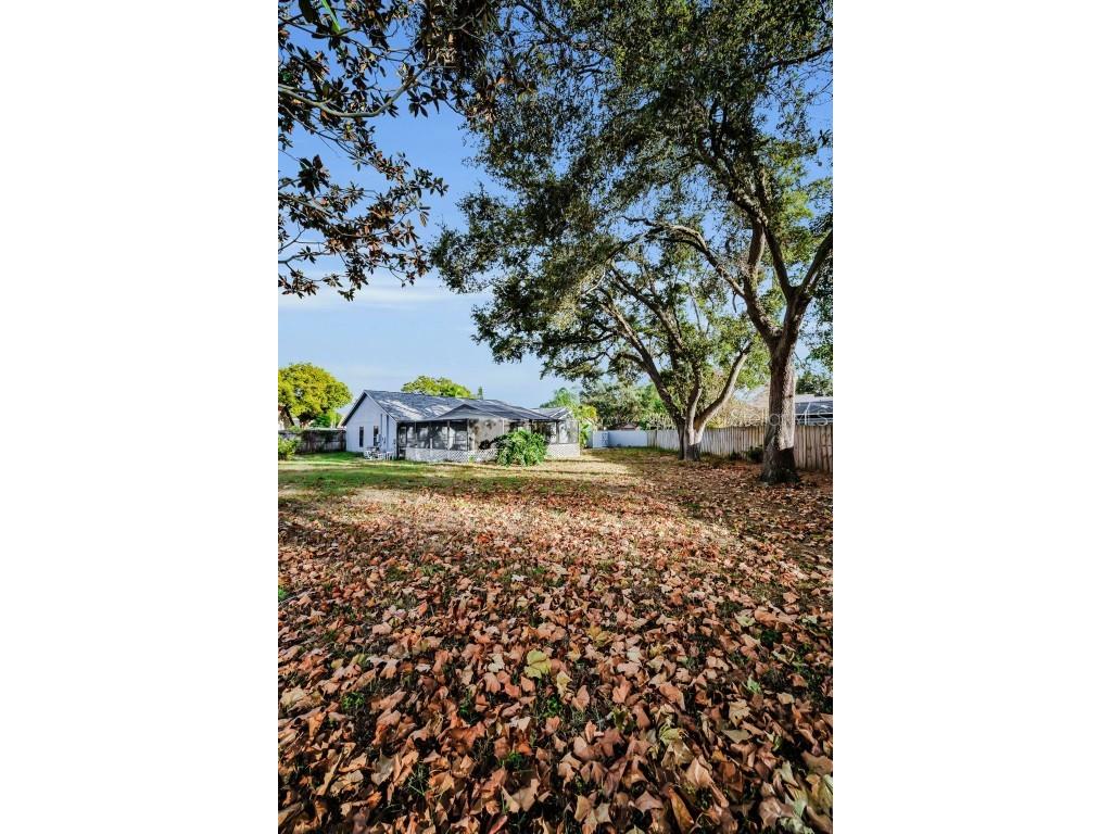 2733 Nicole Circle Palm Harbor FL 34684 TB8452588 image46