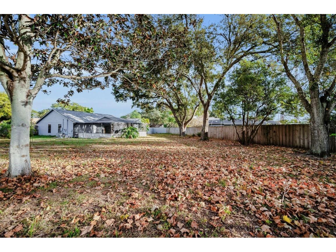 2733 Nicole Circle Palm Harbor FL 34684 TB8452588 image47