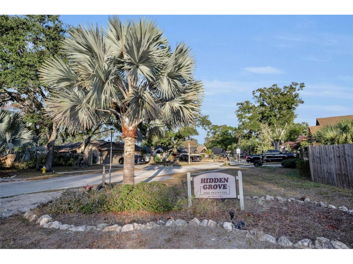 2733 Nicole Circle Palm Harbor FL 34684 TB8452588 image50