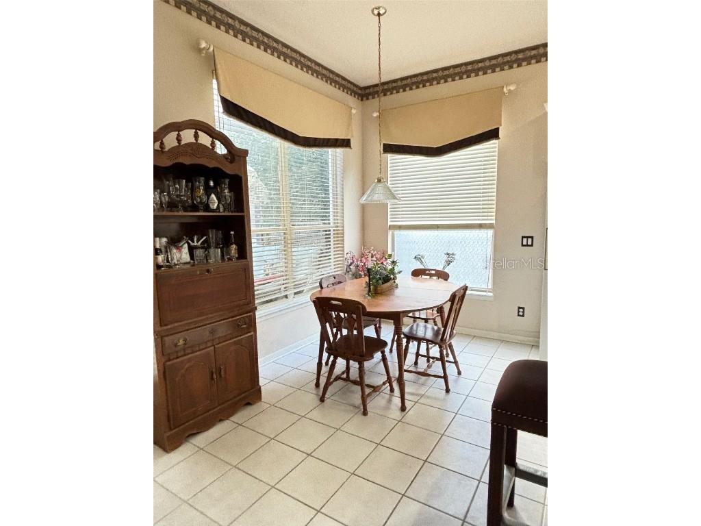 2733 Scarborough Drive Kissimmee FL 34744 OM705024 image10