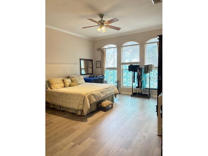 2733 Scarborough Drive Kissimmee FL 34744 OM705024 image21