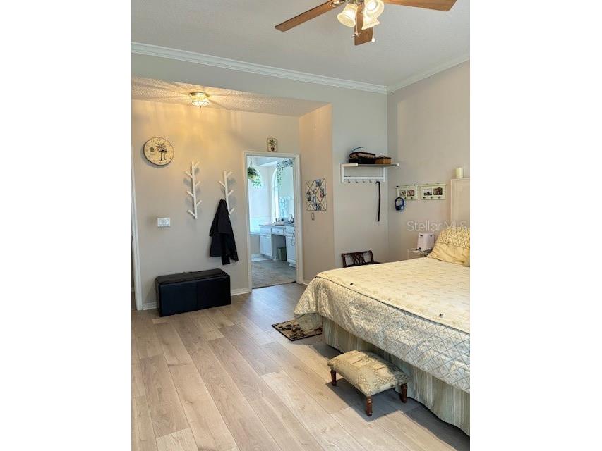 2733 Scarborough Drive Kissimmee FL 34744 OM705024 image22