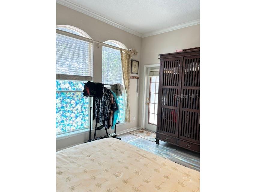 2733 Scarborough Drive Kissimmee FL 34744 OM705024 image23