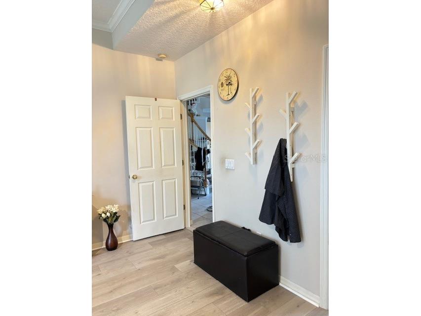 2733 Scarborough Drive Kissimmee FL 34744 OM705024 image24