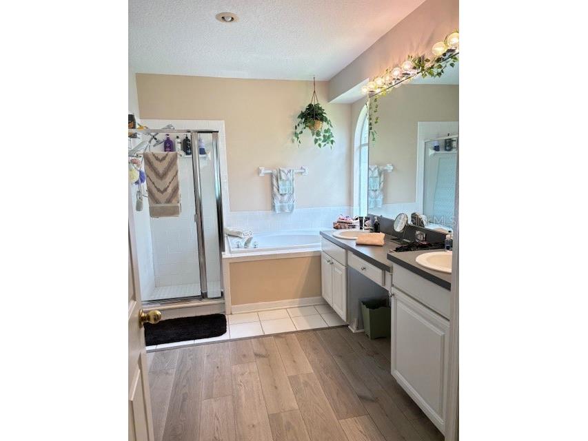 2733 Scarborough Drive Kissimmee FL 34744 OM705024 image25