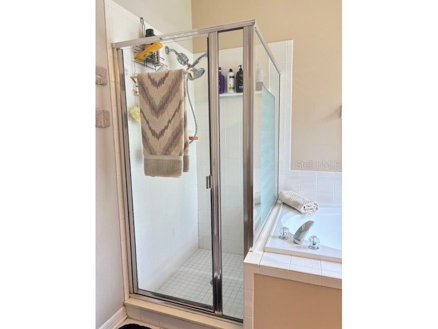 2733 Scarborough Drive Kissimmee FL 34744 OM705024 image27