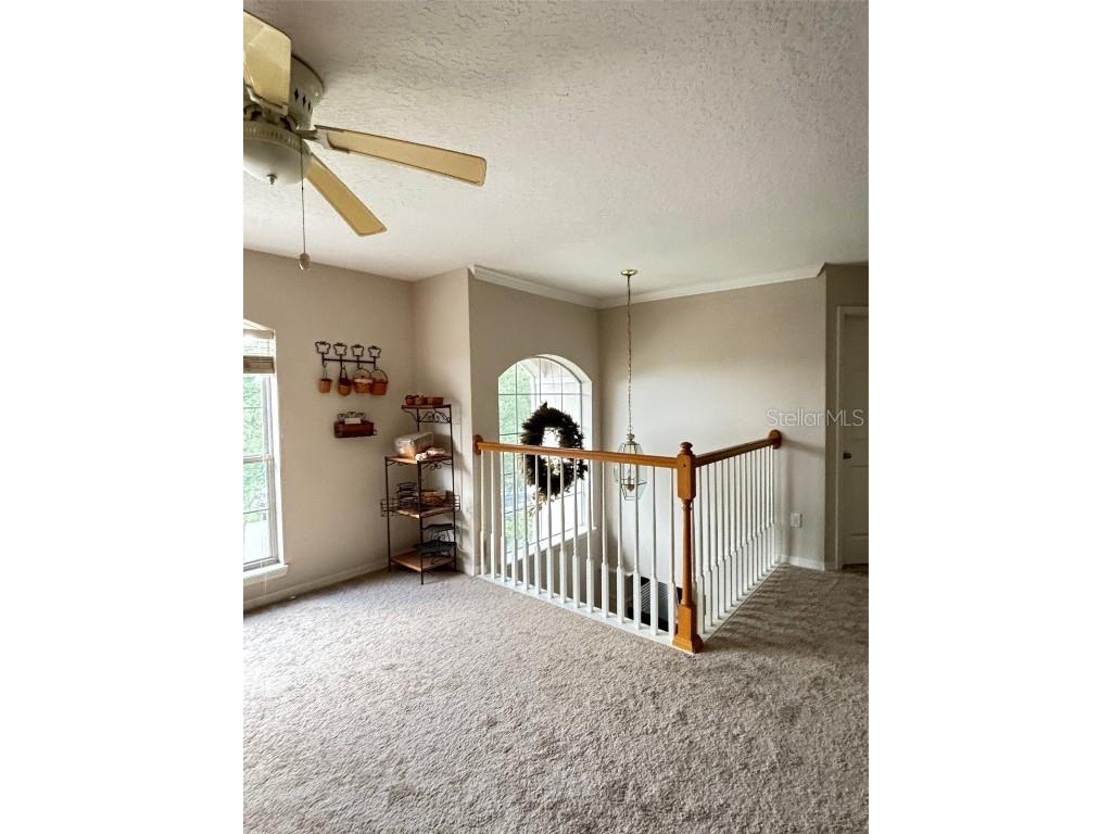 2733 Scarborough Drive Kissimmee FL 34744 OM705024 image31