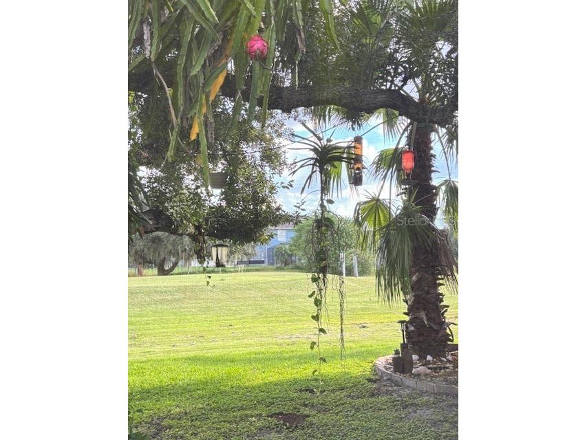 2733 Scarborough Drive Kissimmee FL 34744 OM705024 image45