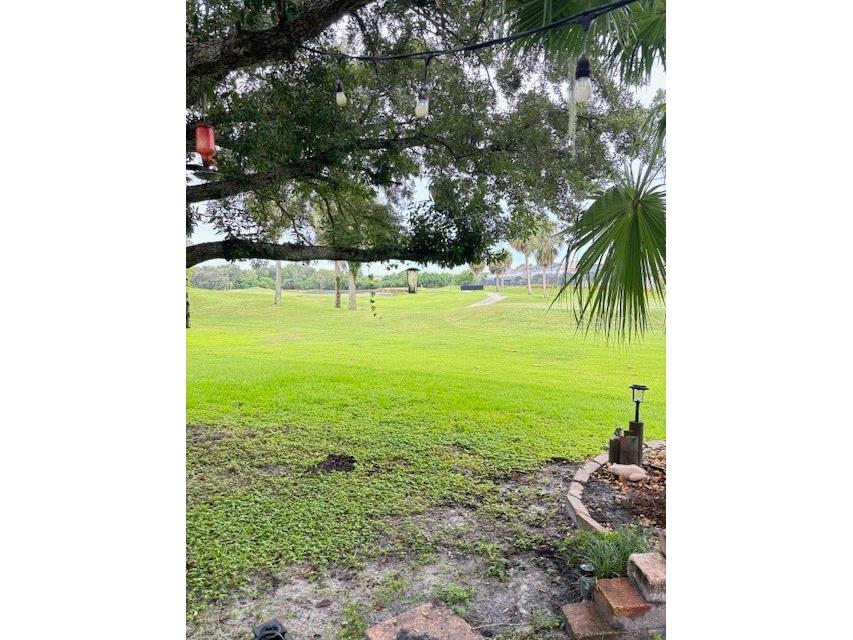 2733 Scarborough Drive Kissimmee FL 34744 OM705024 image46