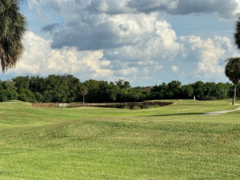 2733 Scarborough Drive Kissimmee FL 34744 OM705024 image49