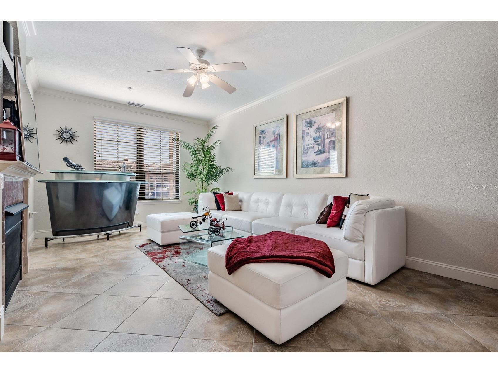 2733 Via Cipriani #814A Clearwater FL 33764 TB8460583 image13