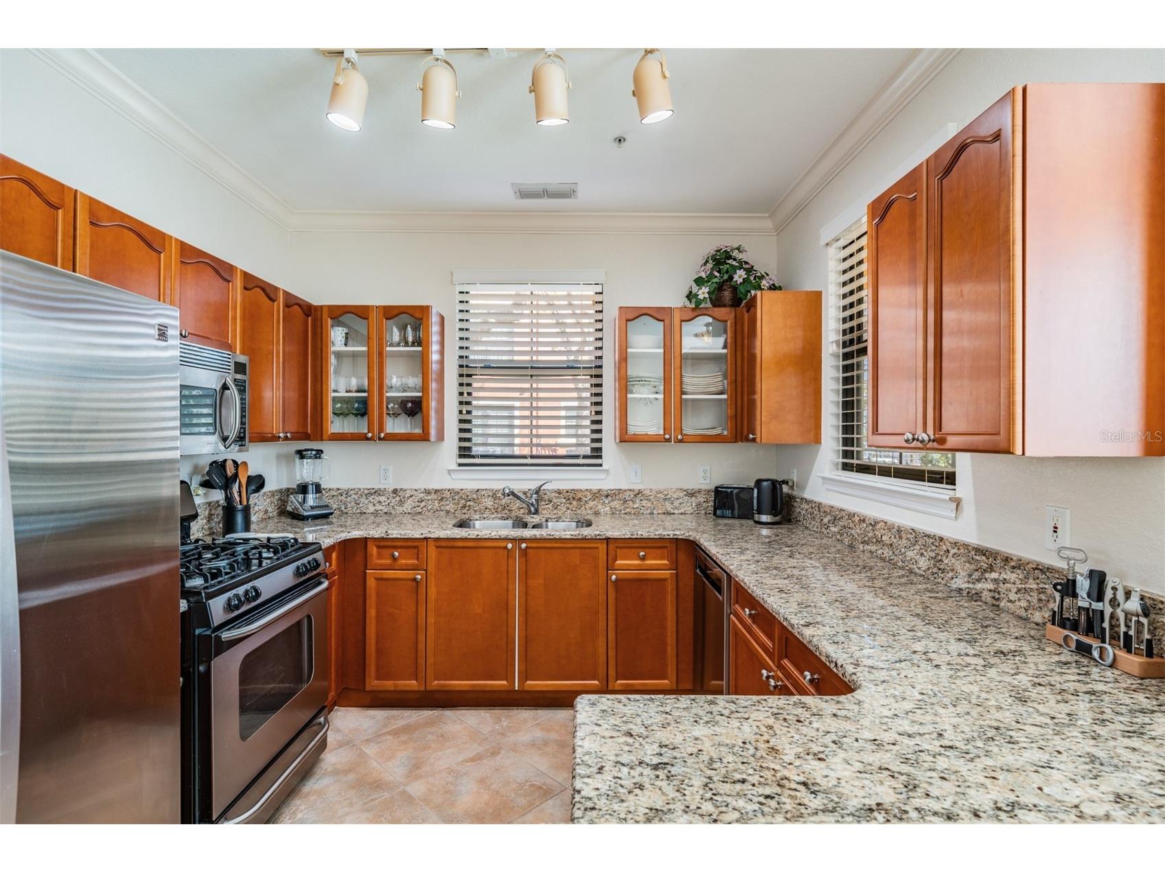 2733 Via Cipriani #814A Clearwater FL 33764 TB8460583 image5