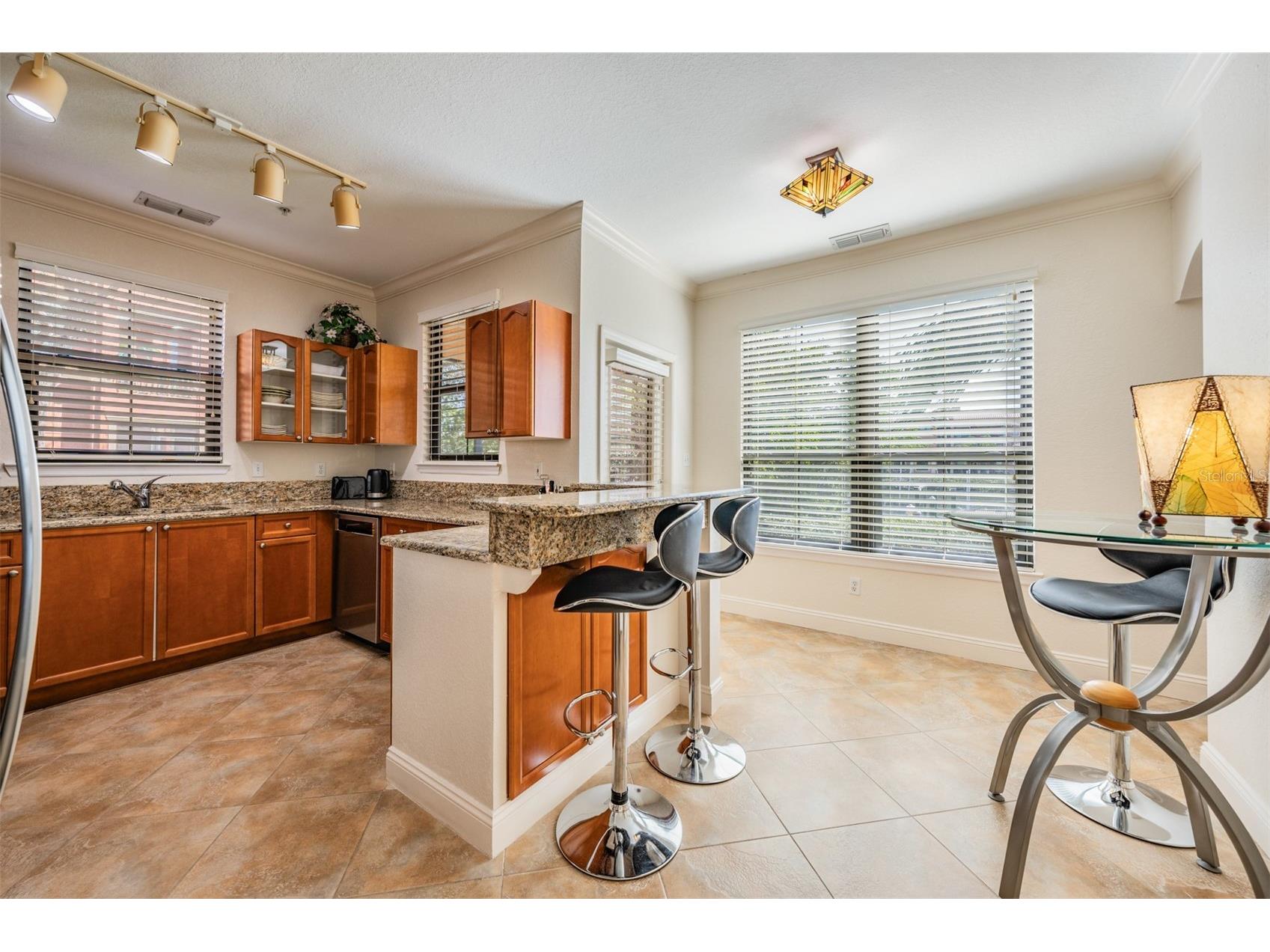 2733 Via Cipriani #814A Clearwater FL 33764 TB8460583 image7