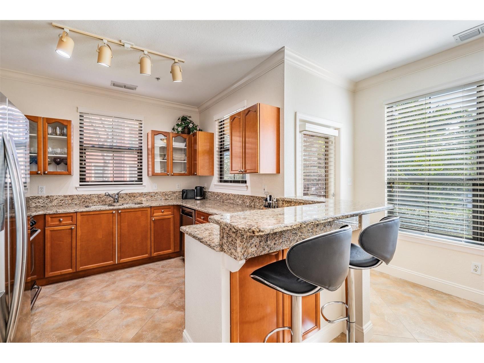 2733 Via Cipriani #814A Clearwater FL 33764 TB8460583 image9