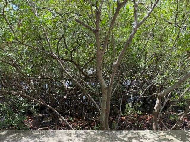 2733 Via Cipriani #820B Clearwater FL 33764 TB8529692 image49