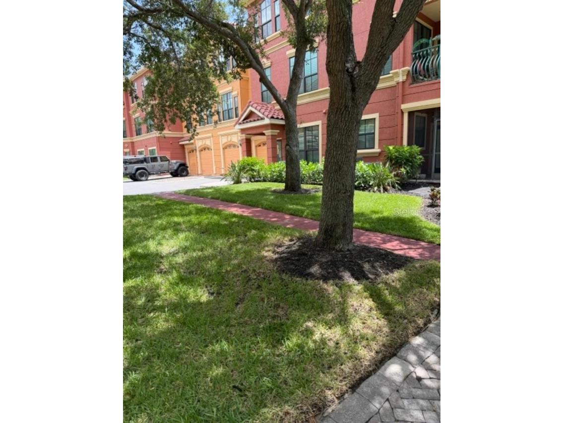 2733 Via Cipriani #820B Clearwater FL 33764 TB8529692 image50