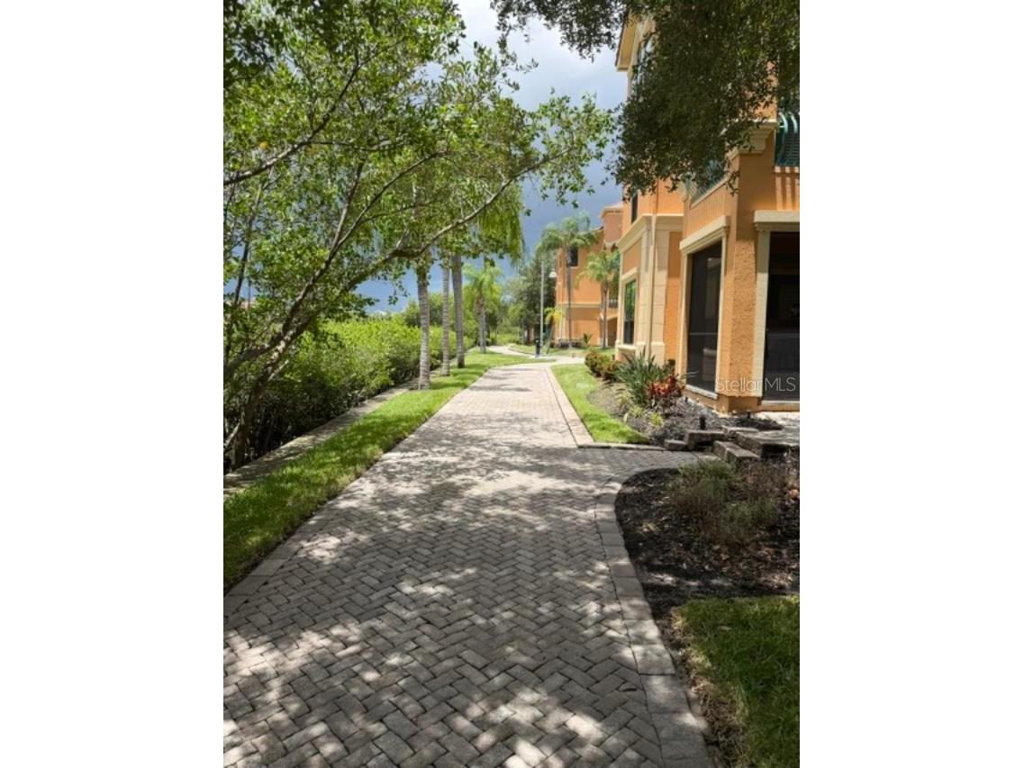 2733 Via Cipriani #820B Clearwater FL 33764 TB8529692 image52