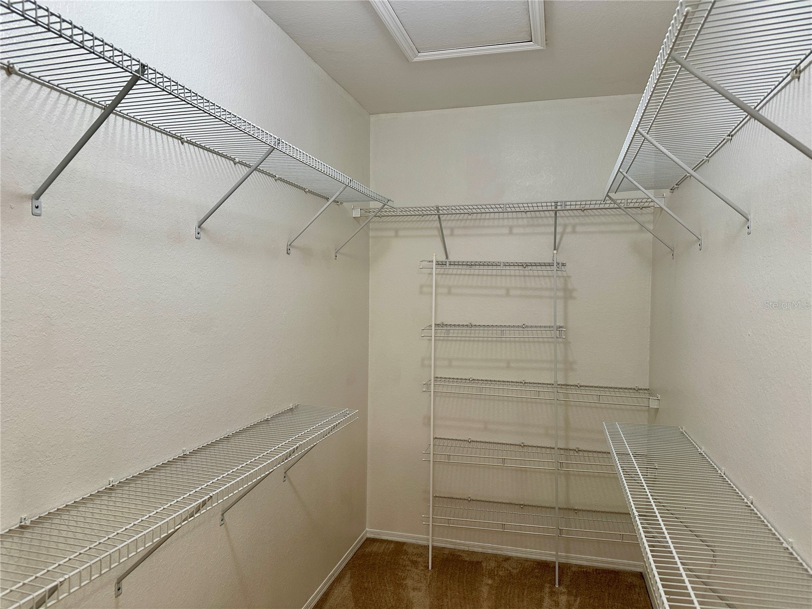 2733 Via Cipriani #830B Clearwater FL 33764 TB8465555 image27