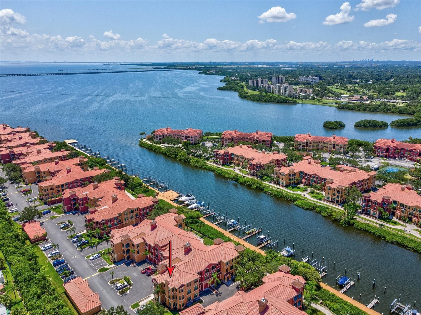2733 Via Cipriani #830B Clearwater FL 33764 TB8465555 image3