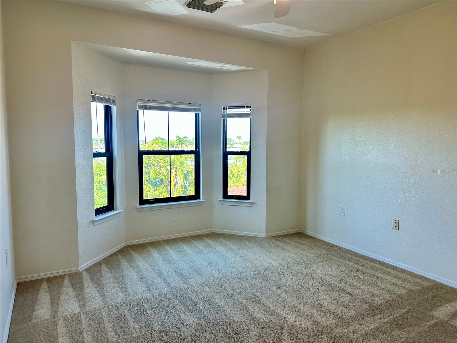 2733 Via Cipriani #830B Clearwater FL 33764 TB8465555 image30