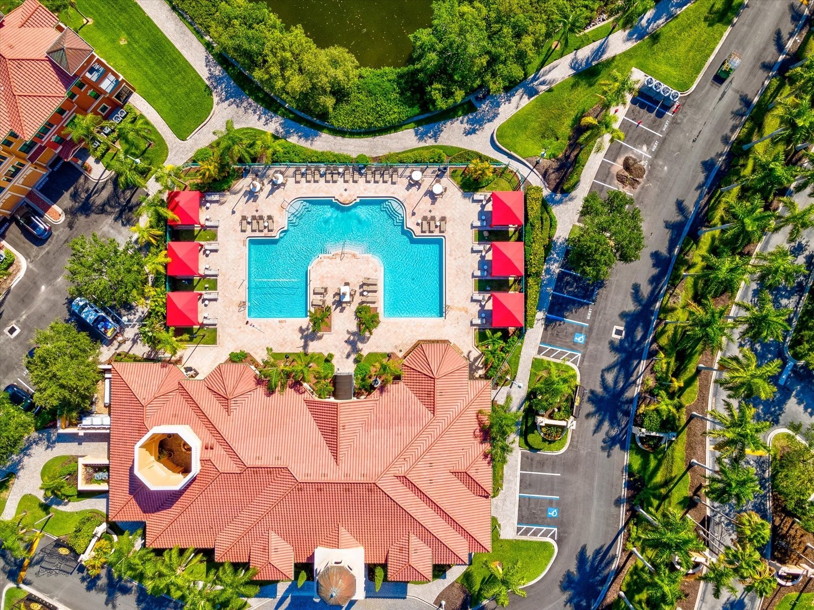 2733 Via Cipriani #830B Clearwater FL 33764 TB8465555 image38