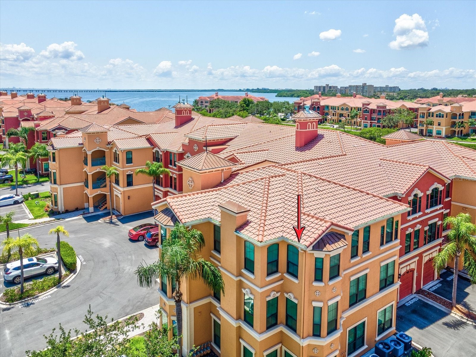 2733 Via Cipriani #830B Clearwater FL 33764 TB8465555 image63