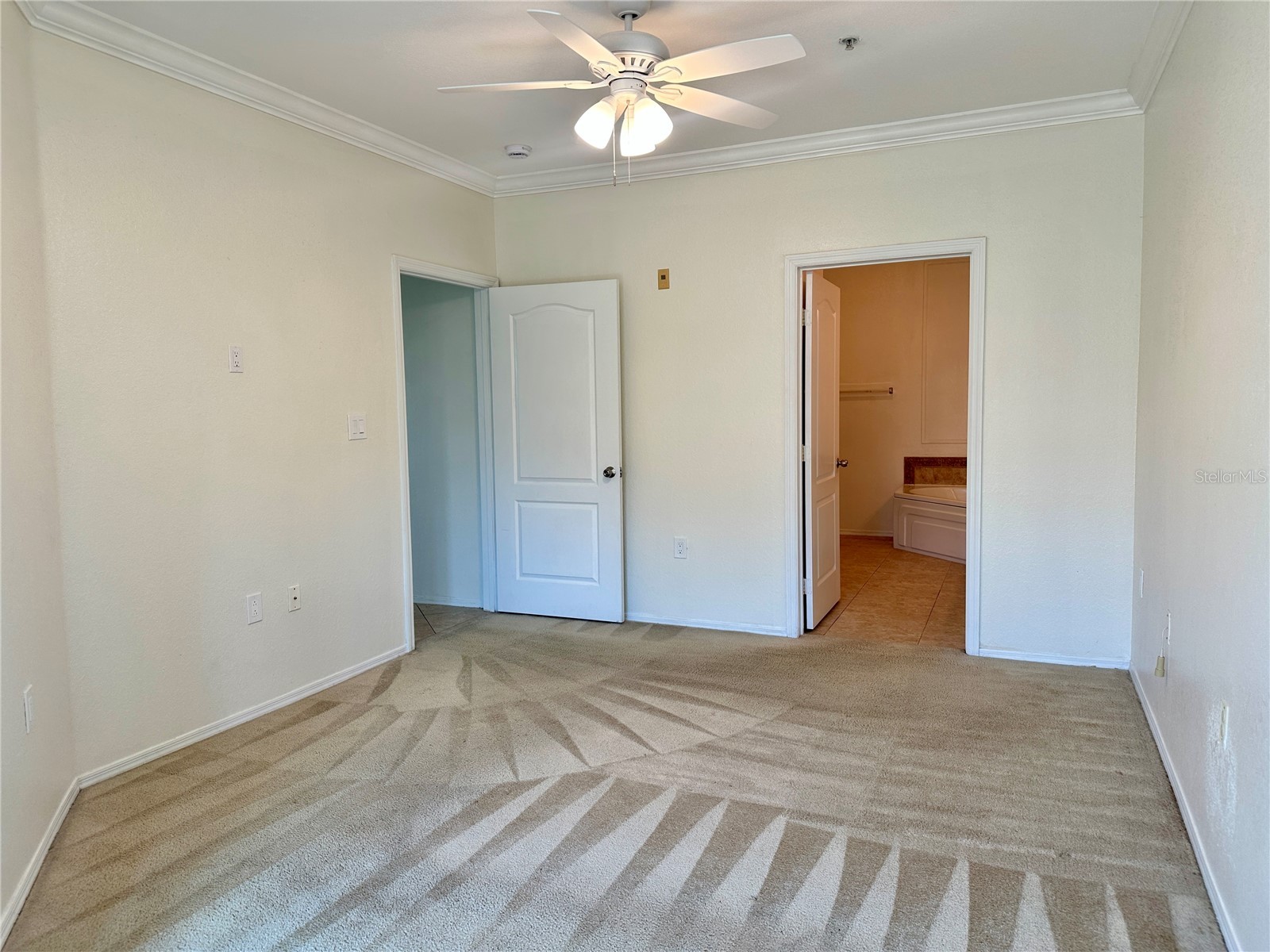 2733 Via Cipriani #830B Clearwater FL 33764 TB8471801 image18
