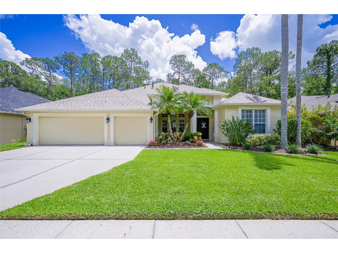 27338 Briarglade Loop Wesley Chapel FL 33544 T3449523 image1