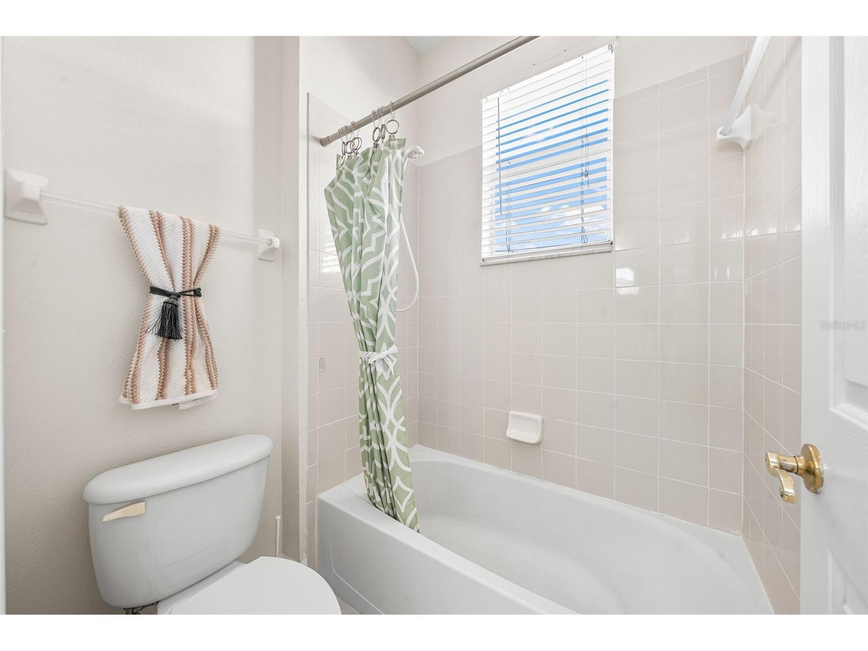 27338 Hollybrook Trail Wesley Chapel FL 33544 TB8475016 image38