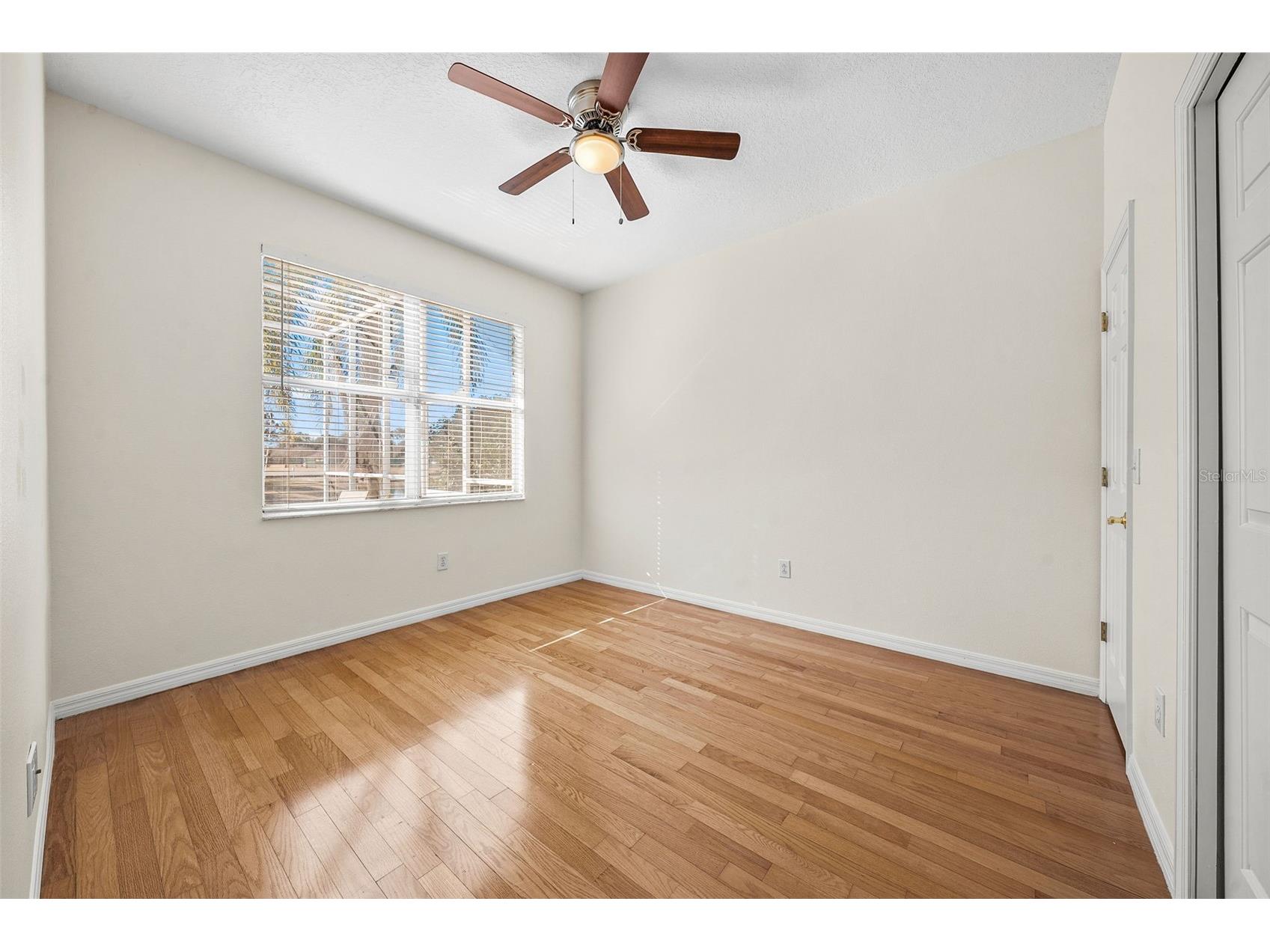 27338 Hollybrook Trail Wesley Chapel FL 33544 TB8507755 image39