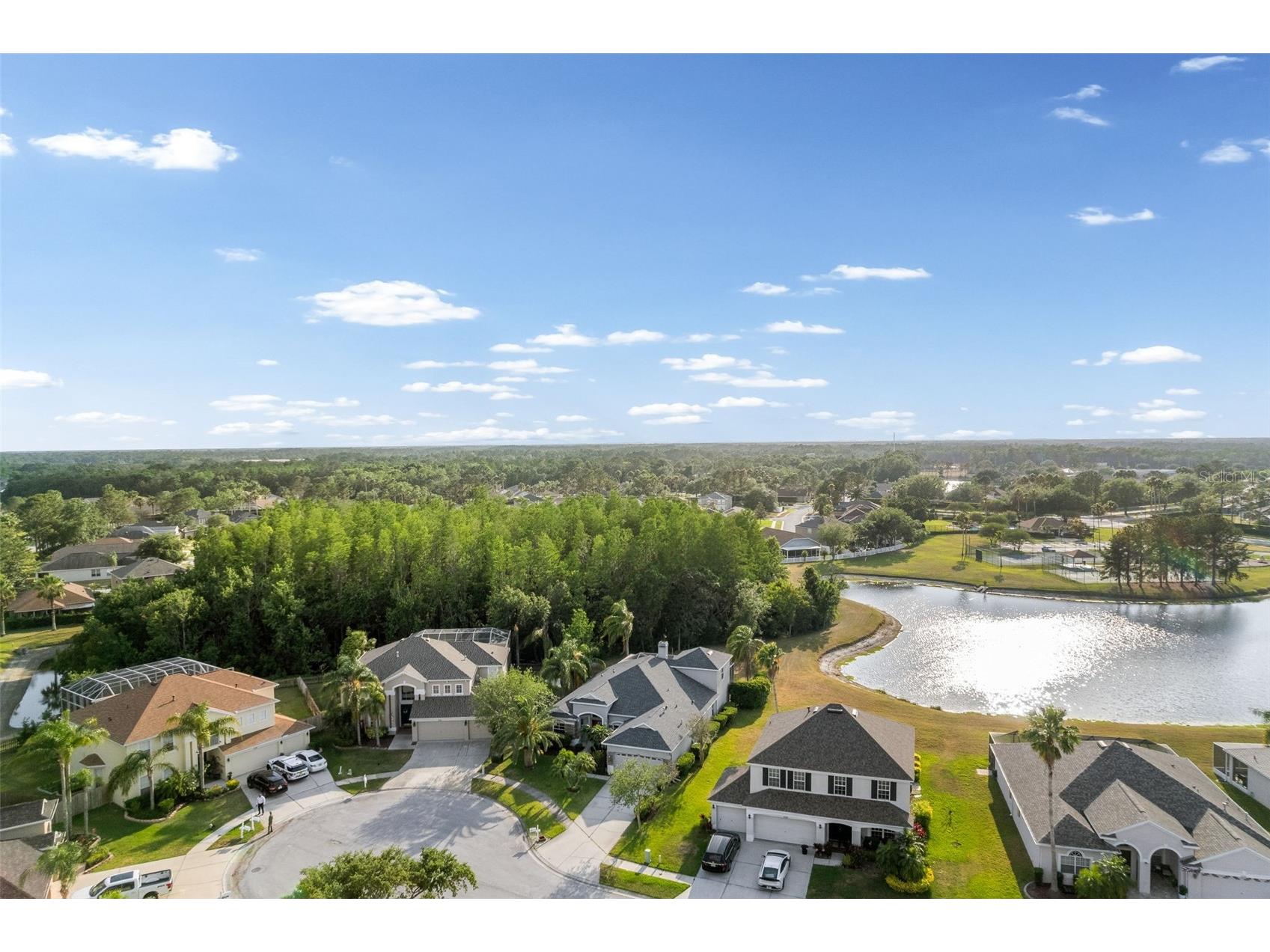 27338 Hollybrook Trail Wesley Chapel FL 33544 TB8507755 image52